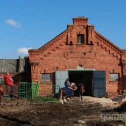 Олимпийский всадники в бывшем имении Паскевичей