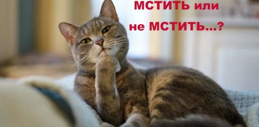  Могут ли животные мстить?